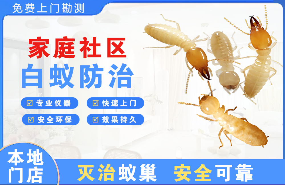 大理家庭社区白蚁防治