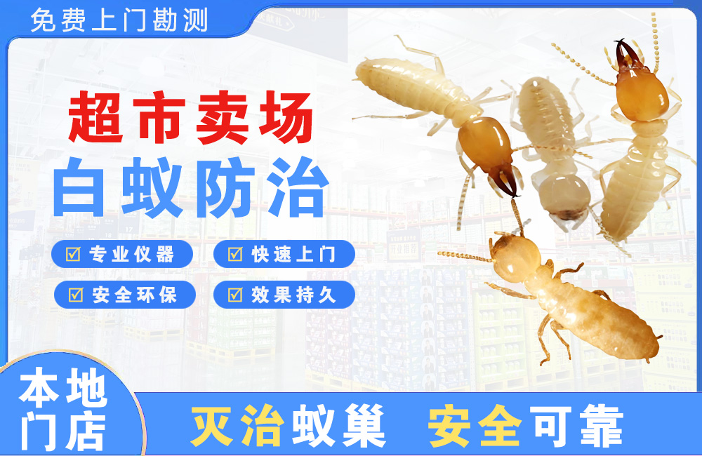 大理超市卖场白蚁防治