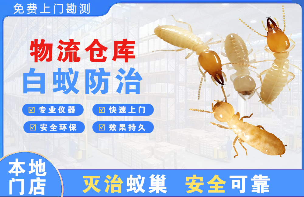 大理物流仓库白蚁防治