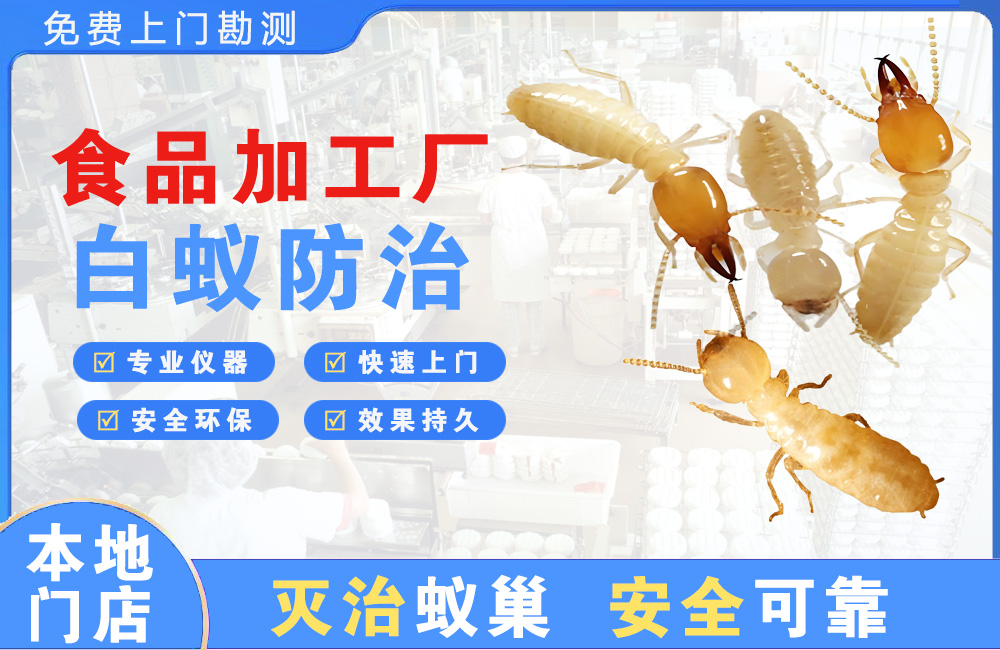 大理食品加工厂白蚁防治