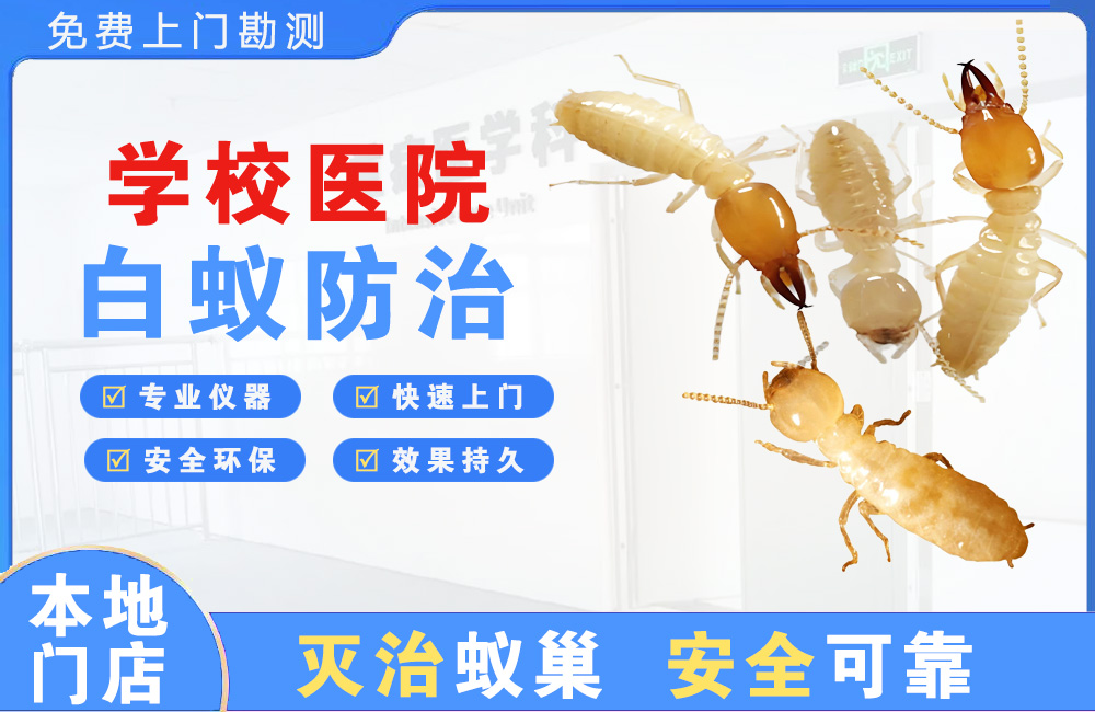 大理学校医院白蚁防治