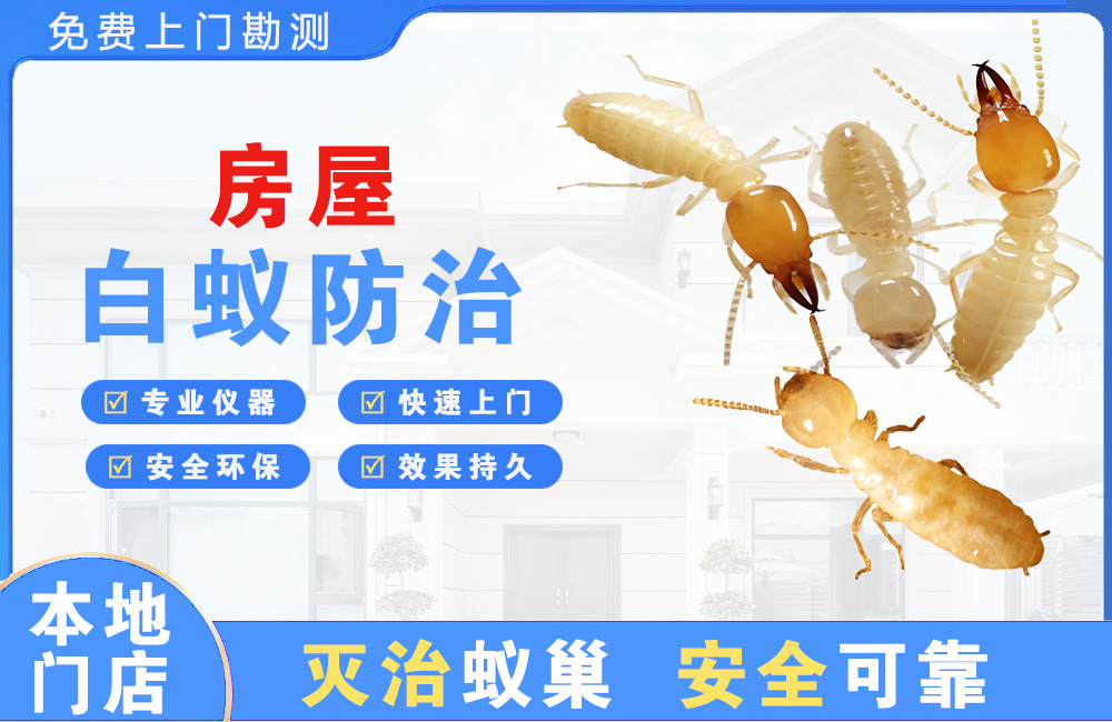 大理房屋白蚁防治