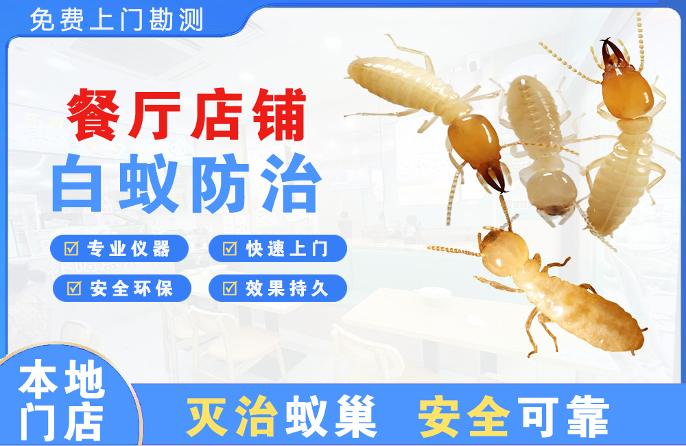 大理餐厅店铺白蚁防治